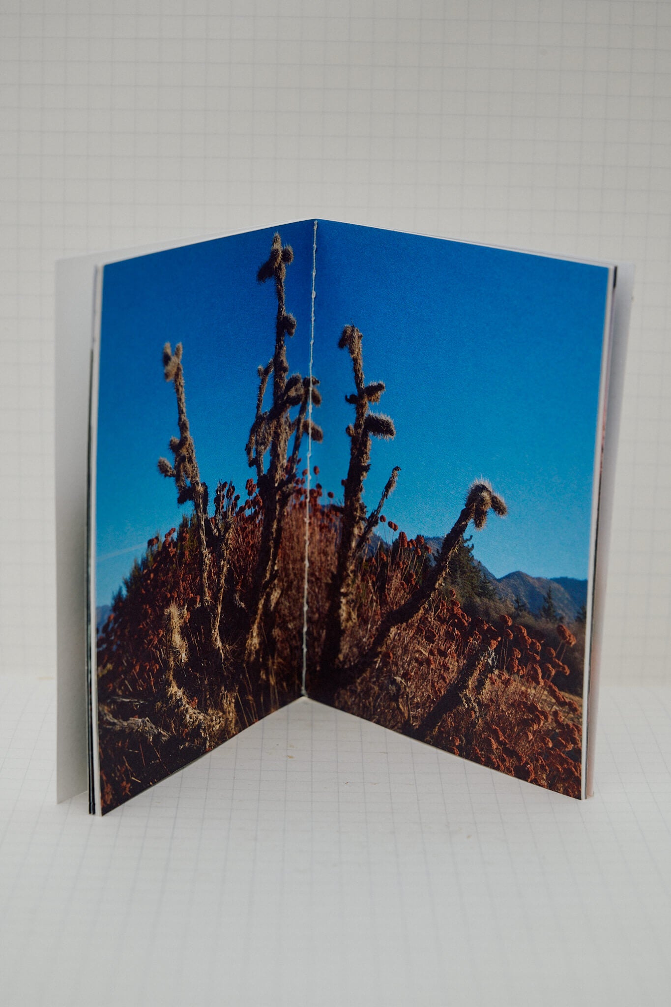 desert lyrics