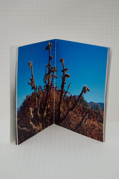desert lyrics