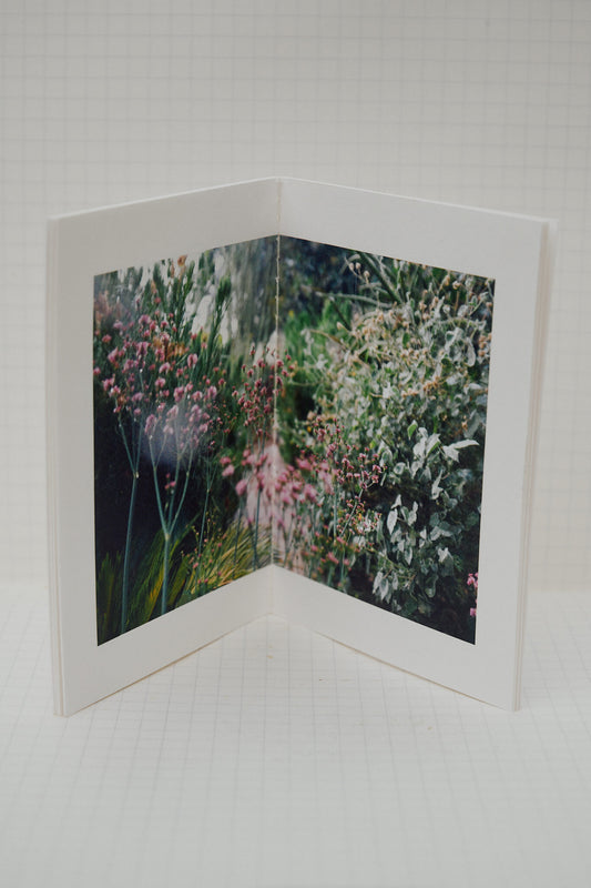 garden copy